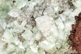 Cuprian Adamite Crystals on Matrix - Ojuela Mine, Mexico #211978-1